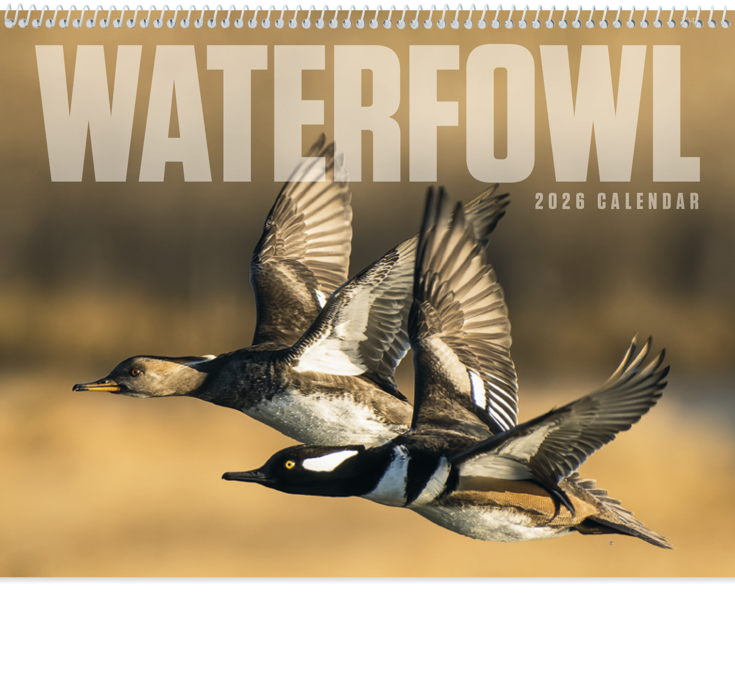 Good Value Waterfowl Spiral Calendar-7048