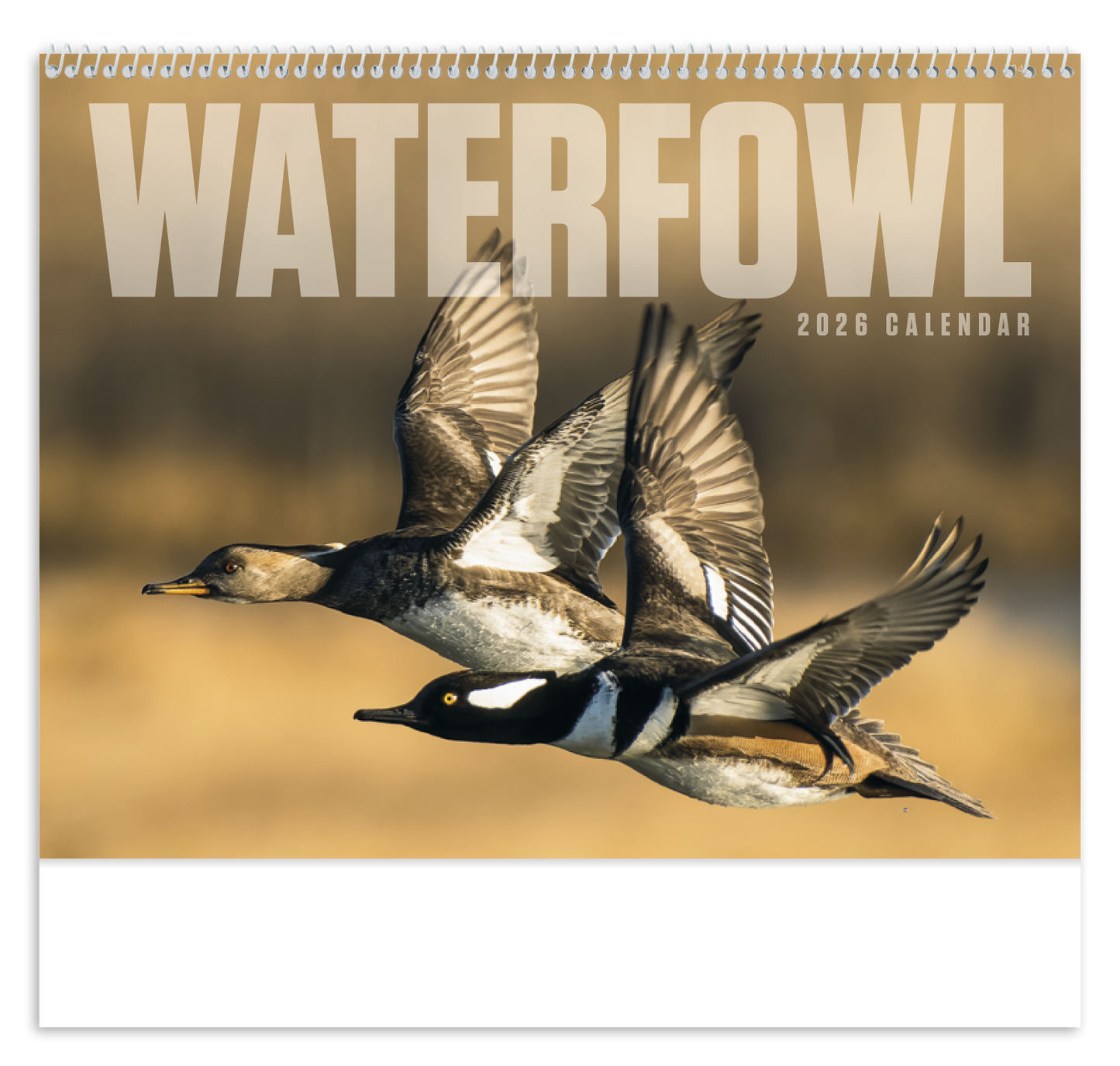 Good Value Waterfowl Spiral Calendar-7048