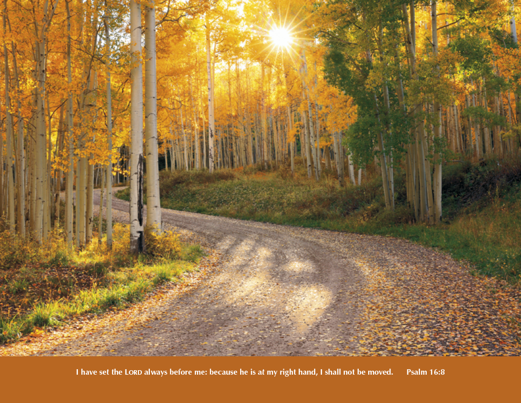 Good Value Everlasting Word without Funeral Planner Spiral-7055
