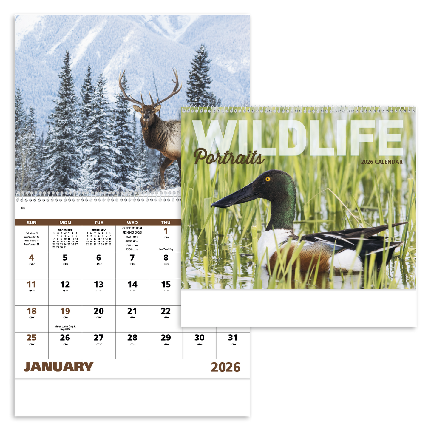 Good Value Wildlife Portraits Spiral Calendar-7063
