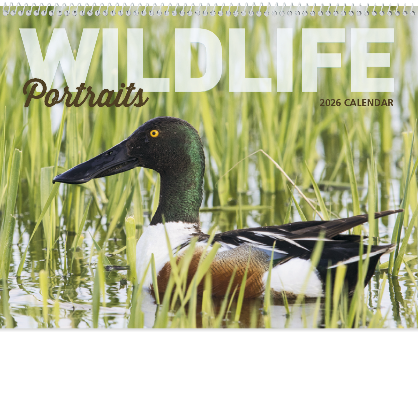 Good Value Wildlife Portraits Spiral Calendar-7063