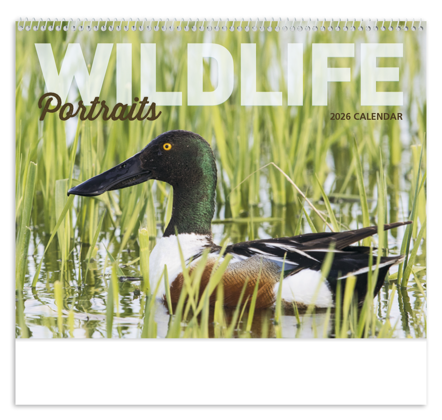 Good Value Wildlife Portraits Spiral Calendar-7063