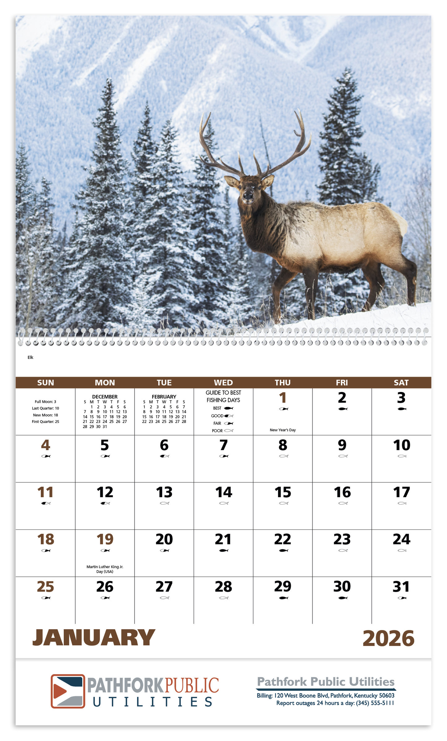 Good Value Wildlife Portraits Spiral Calendar-7063