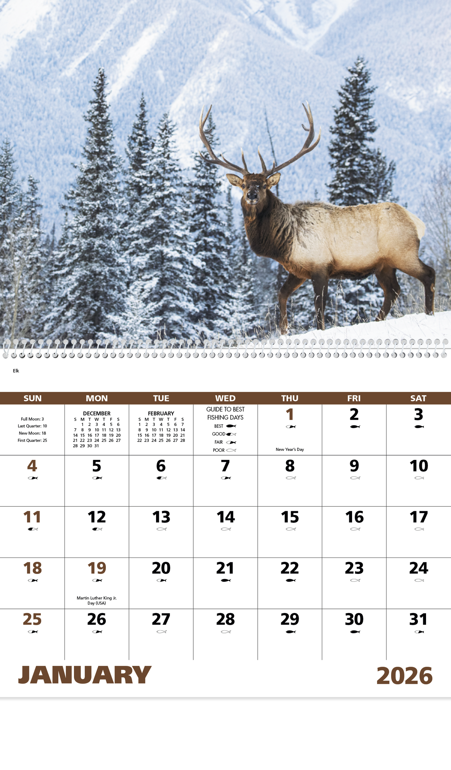 Good Value Wildlife Portraits Spiral Calendar-7063