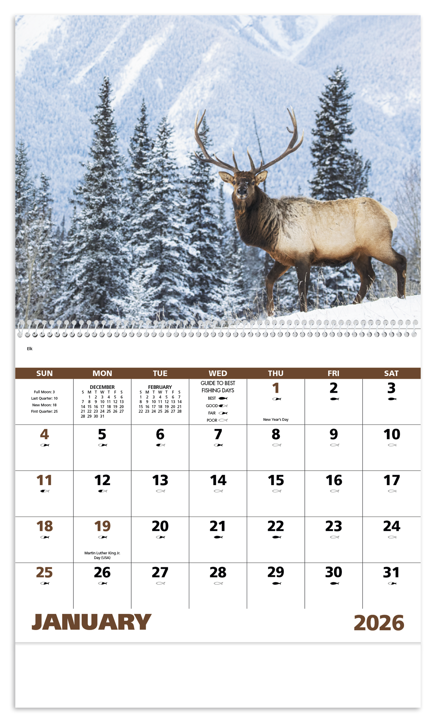 Good Value Wildlife Portraits Spiral Calendar-7063