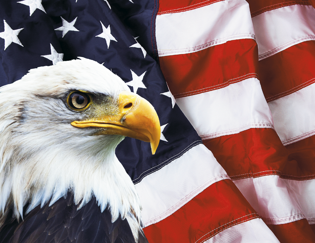 Good Value Celebrate America Spiral Calendar-7069