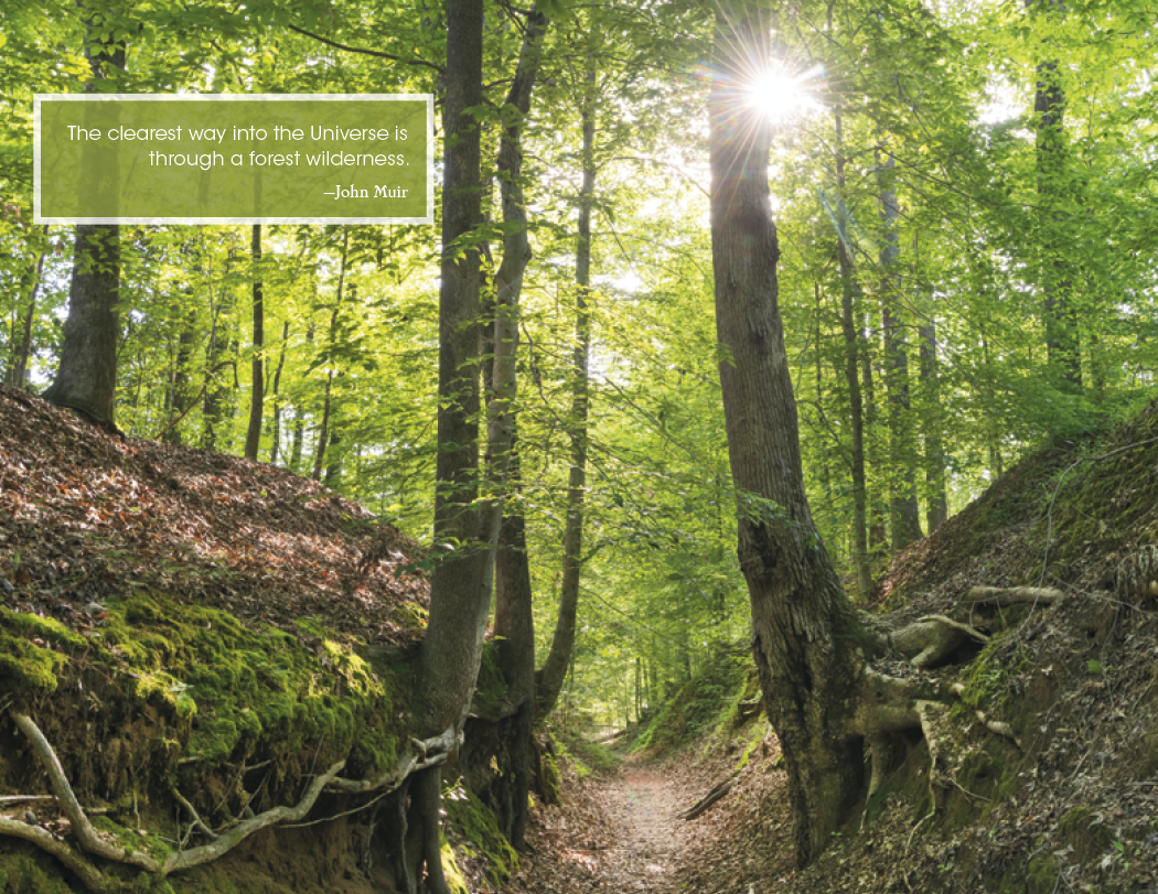 Good Value Inspirations for Life Spiral Calendar-7079