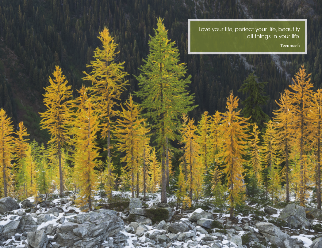 Good Value Inspirations for Life Spiral Calendar-7079