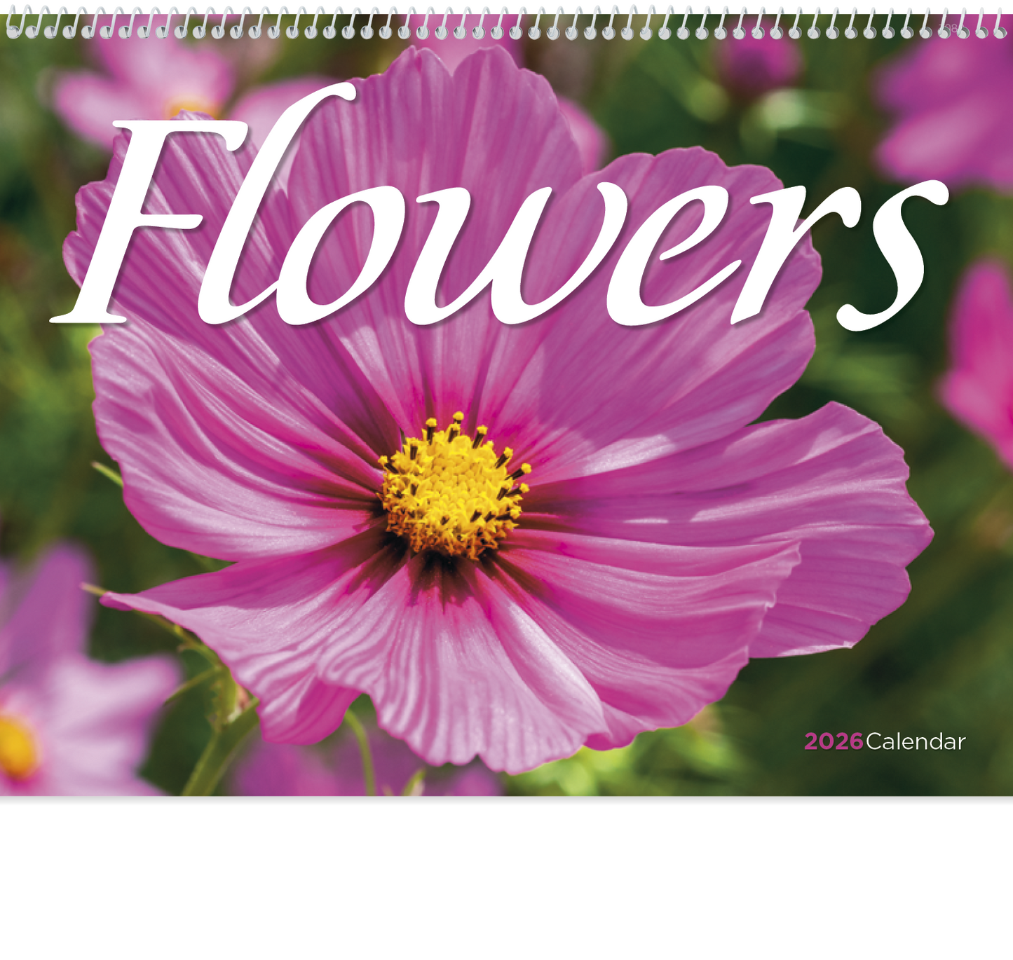 Good Value Flowers Spiral Calendar-7080