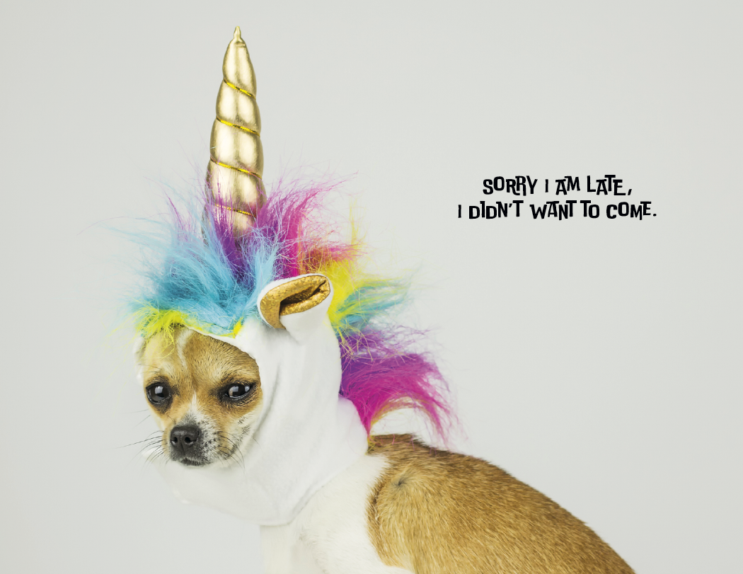 Good Value Pets with Attitude Spiral Calendar-7086