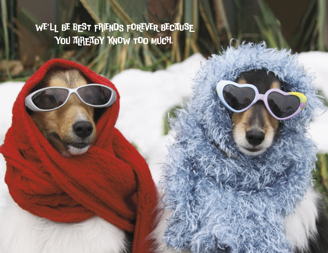 Good Value Pets with Attitude Spiral Calendar-7086