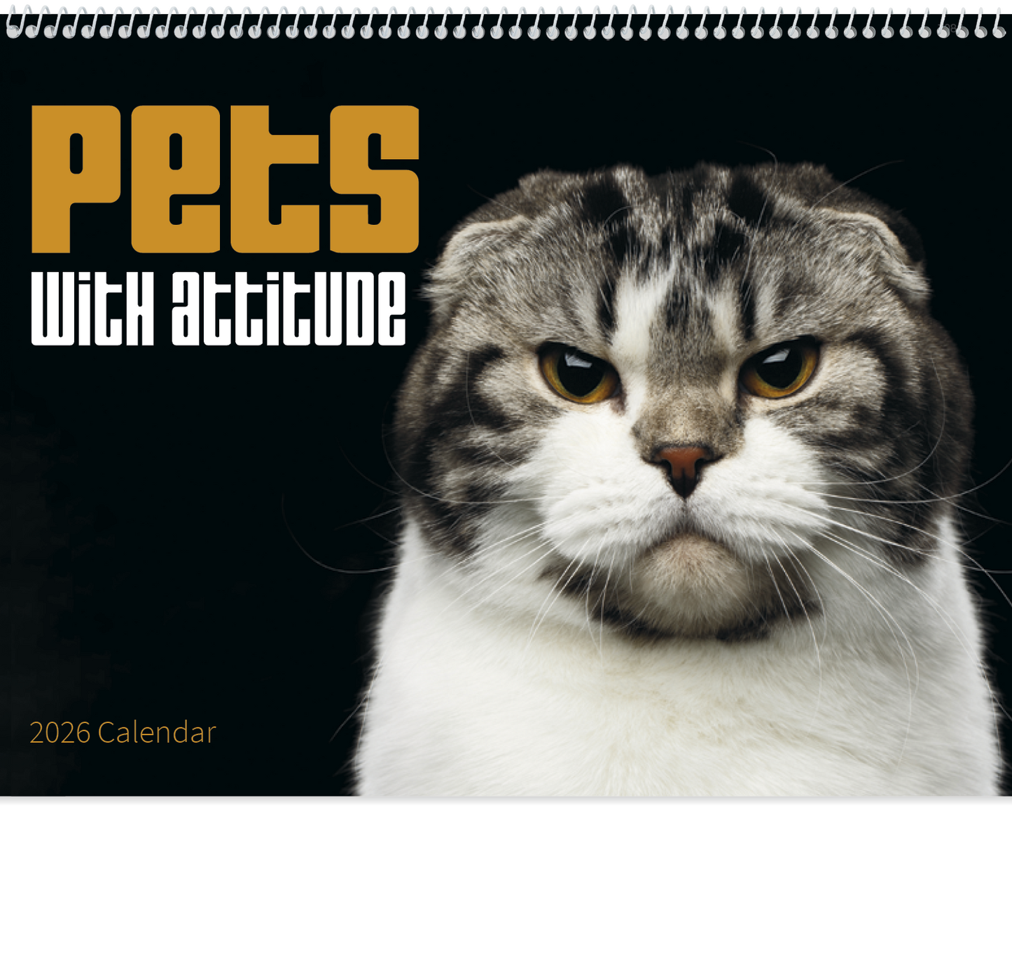 Good Value Pets with Attitude Spiral Calendar-7086