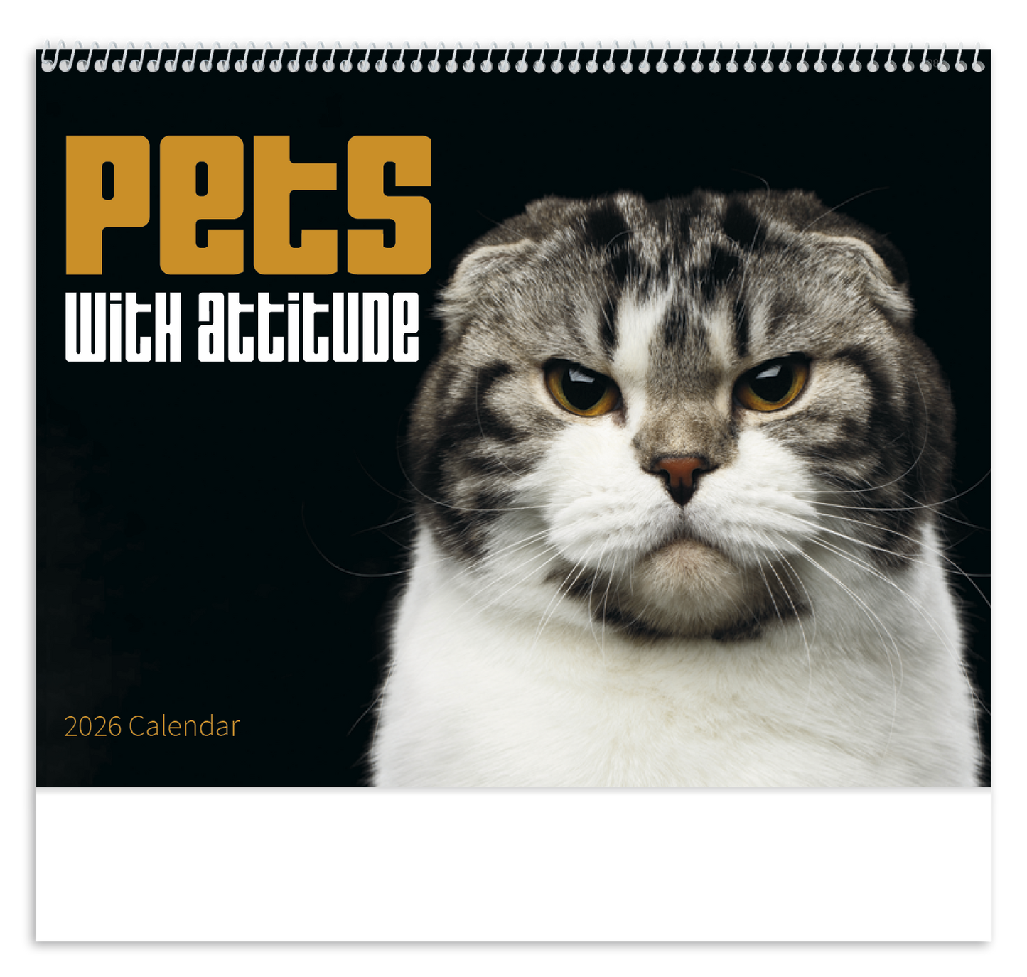 Good Value Pets with Attitude Spiral Calendar-7086
