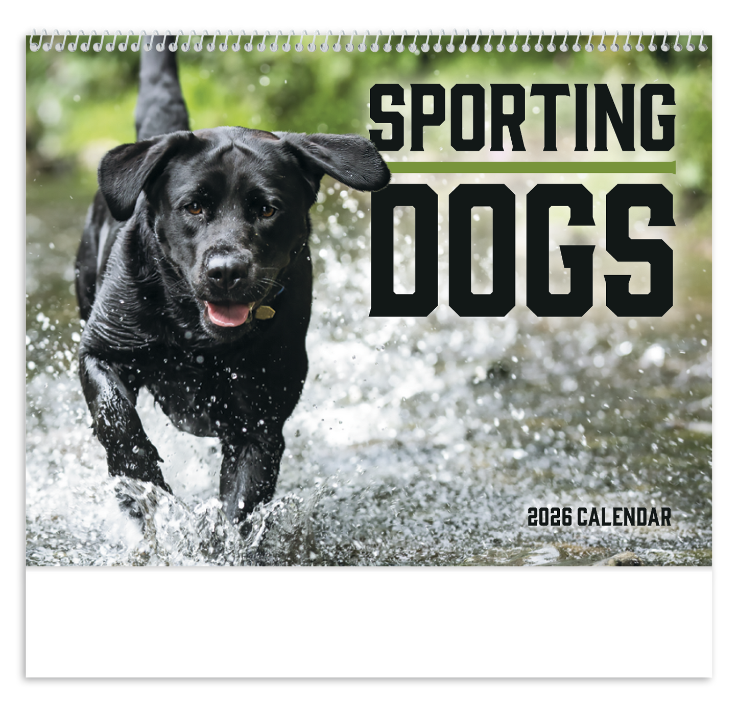 Good Value Sporting Dogs Spiral Calendar-7090