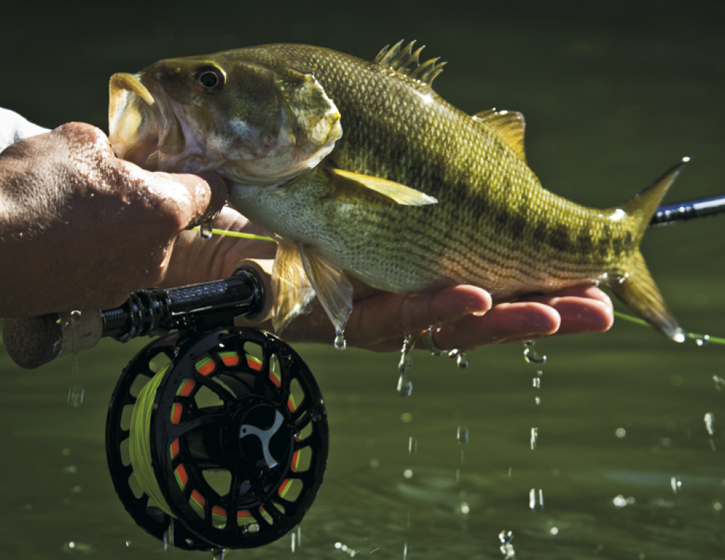 Good Value Fishing Spiral Calendar-7099