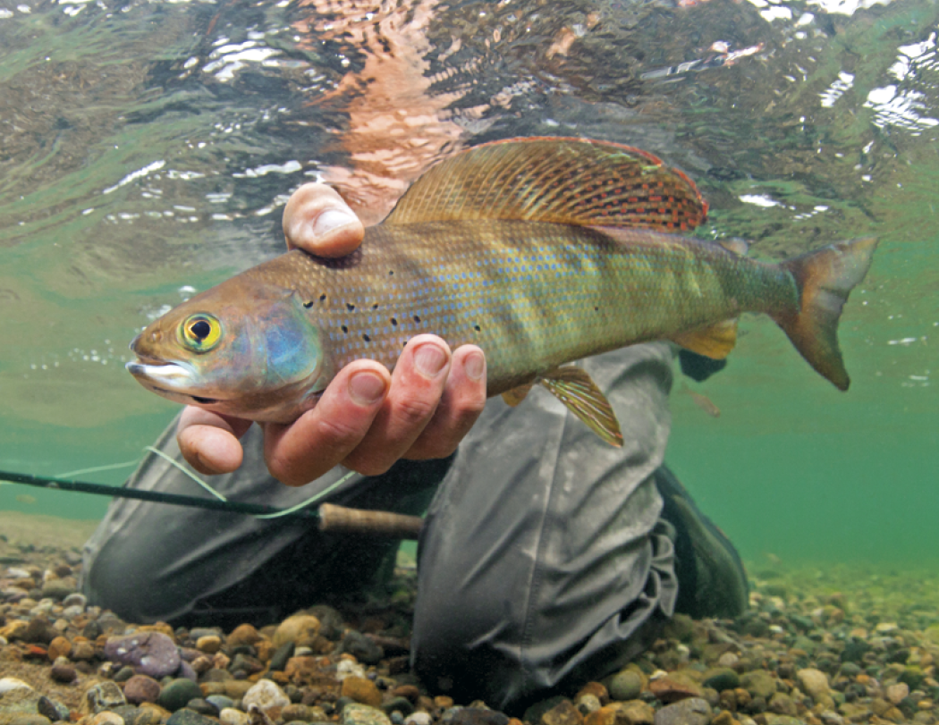 Good Value Fishing Spiral Calendar-7099