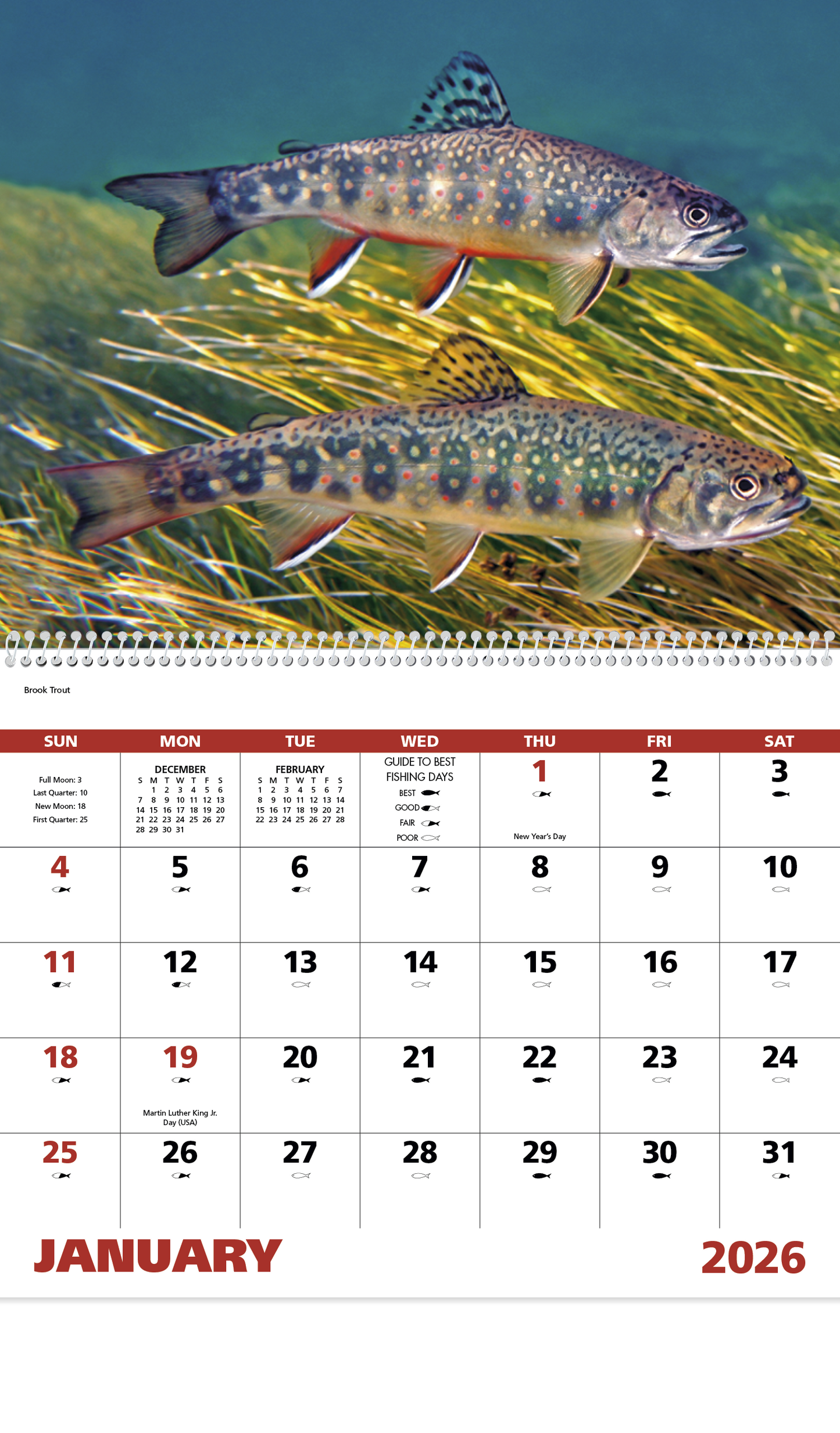 Good Value Fishing Spiral Calendar-7099