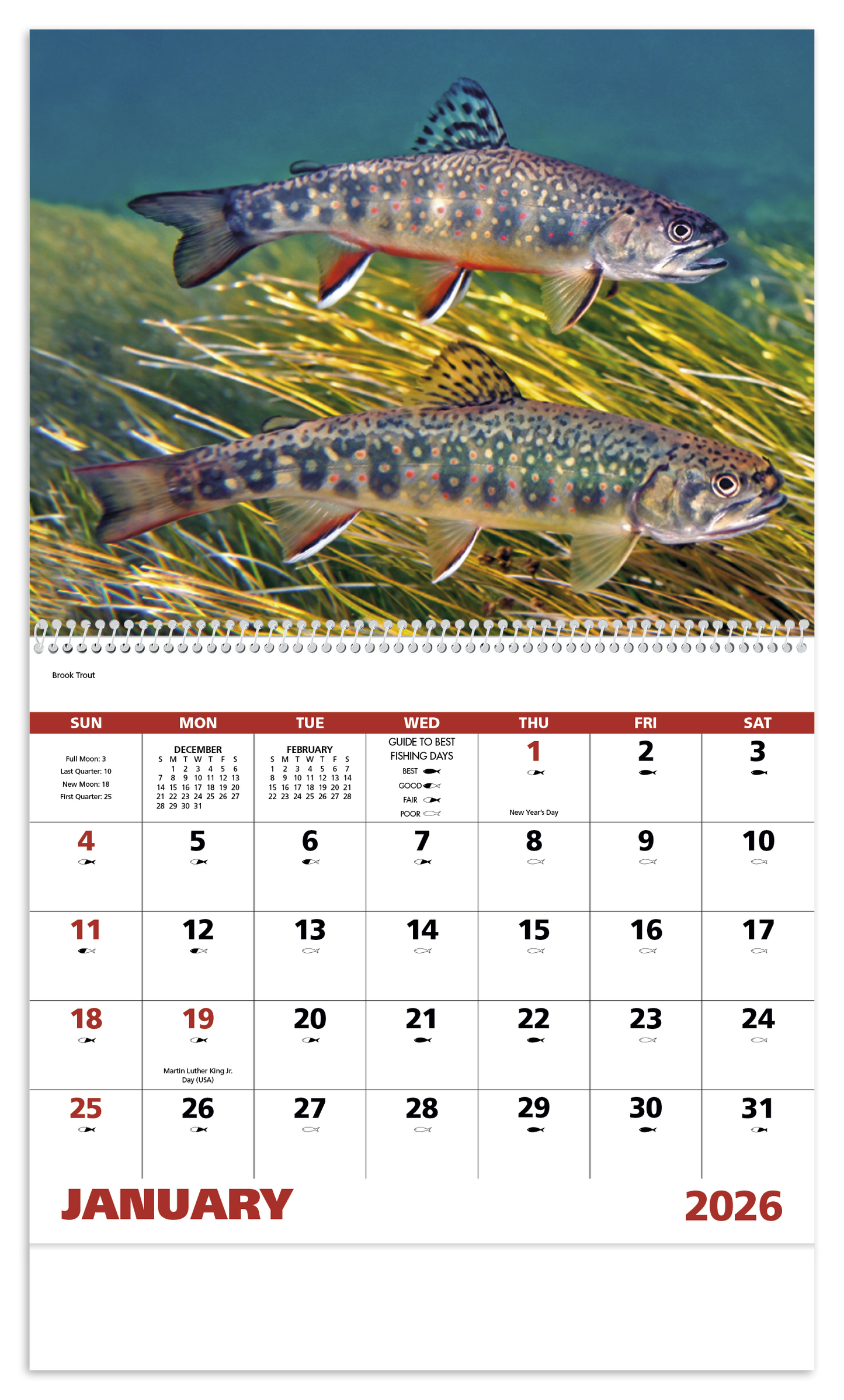 Good Value Fishing Spiral Calendar-7099