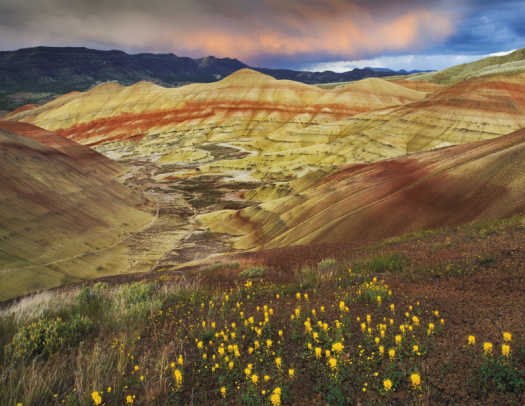 Good Value Landscapes of America Window Calendar-7501