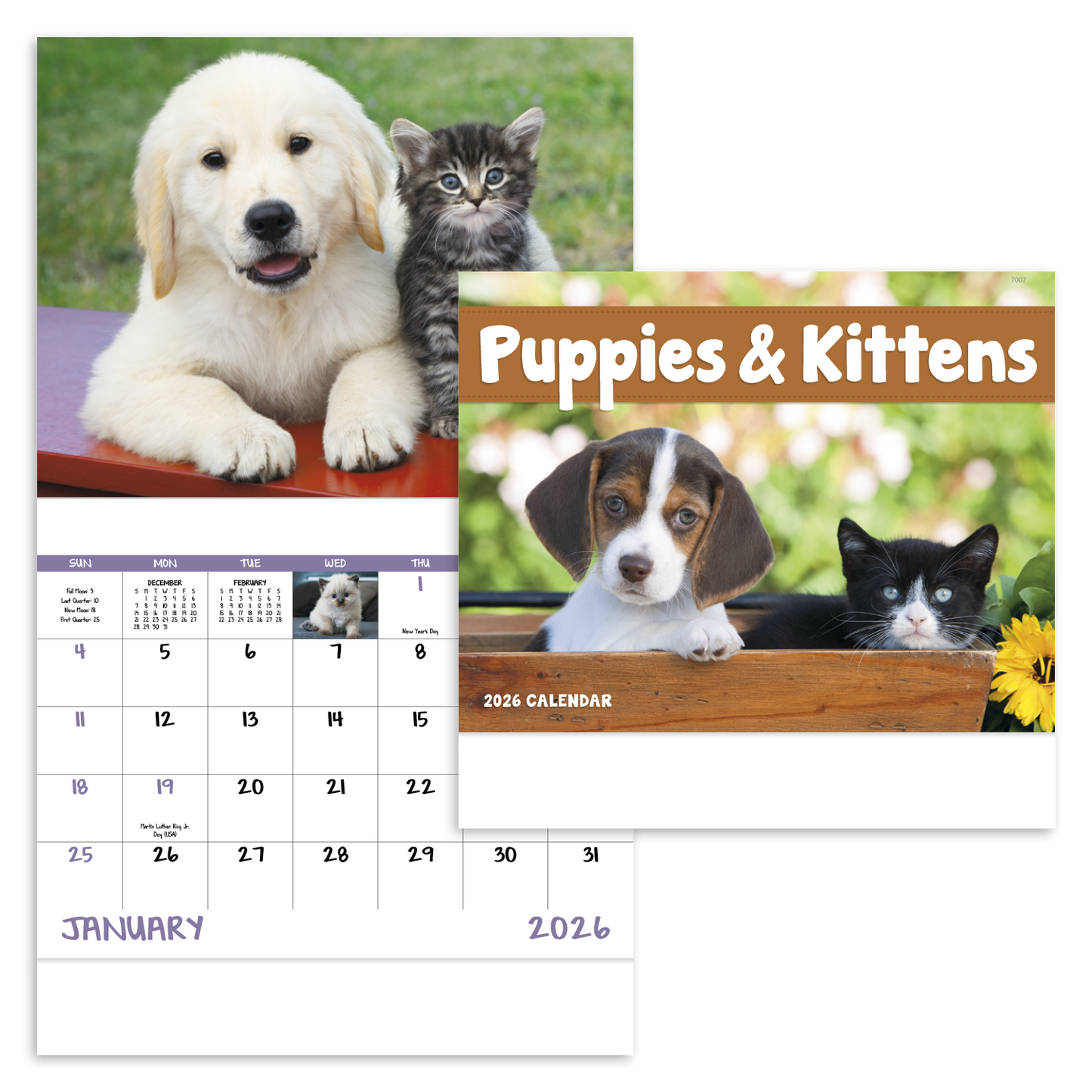 Good Value Puppies Kittens Stapled Calendar-7207