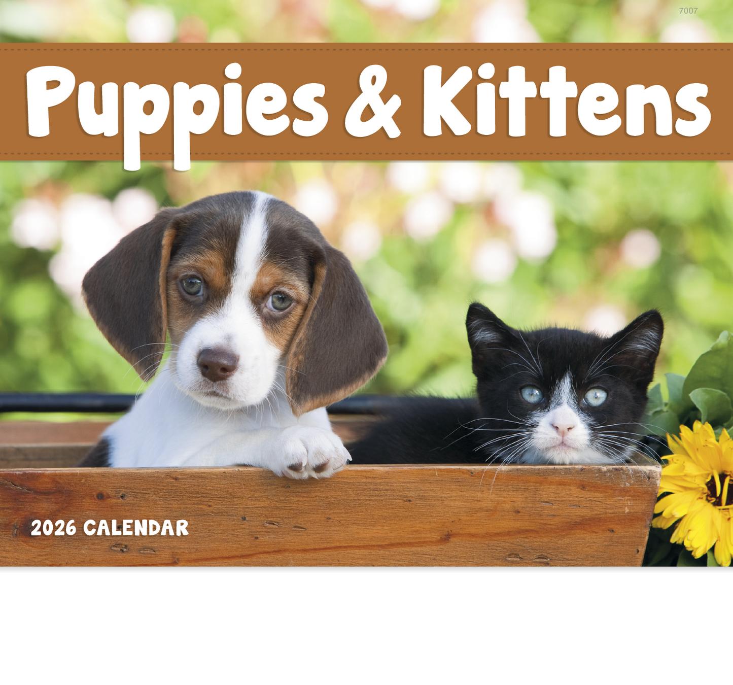 Good Value Puppies Kittens Stapled Calendar-7207