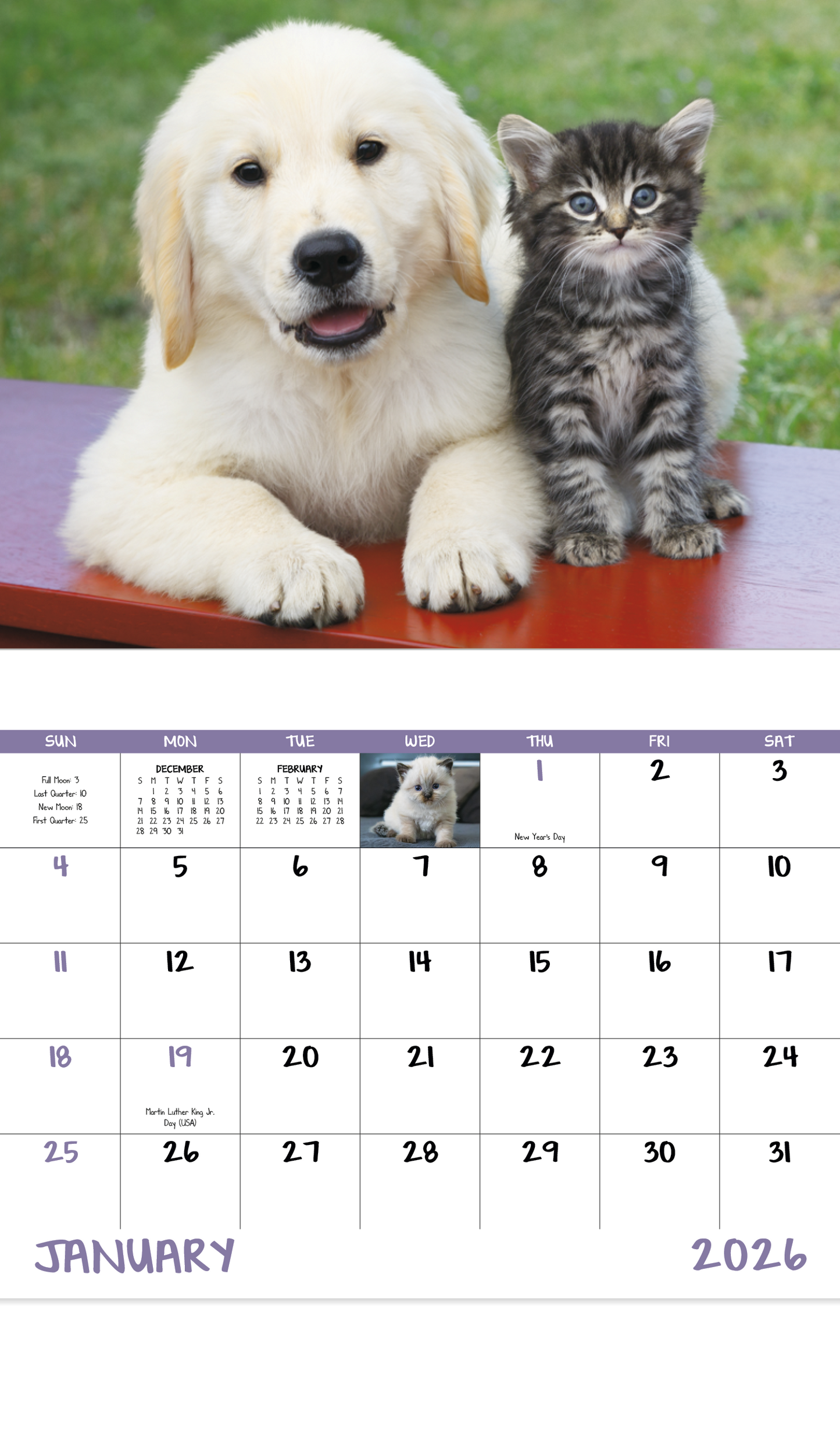 Good Value Puppies Kittens Stapled Calendar-7207