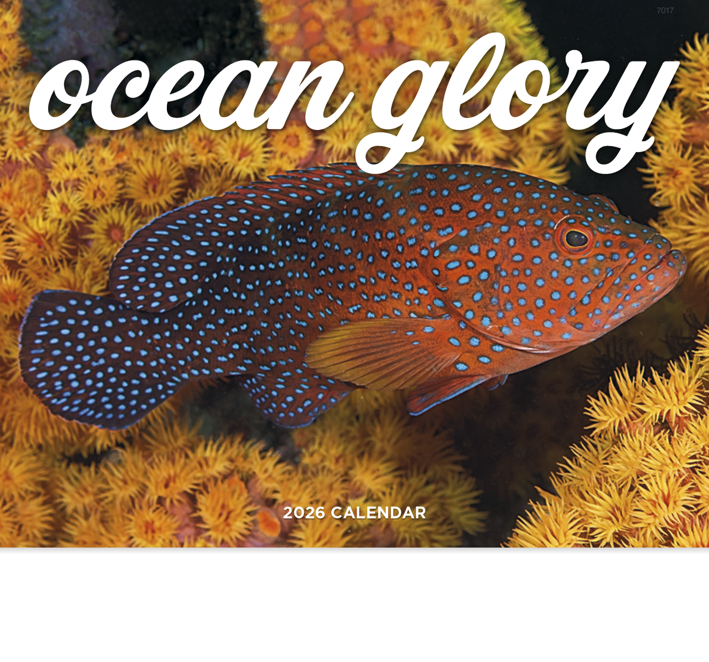 Good Value Ocean Glory Stapled Calendar-7217