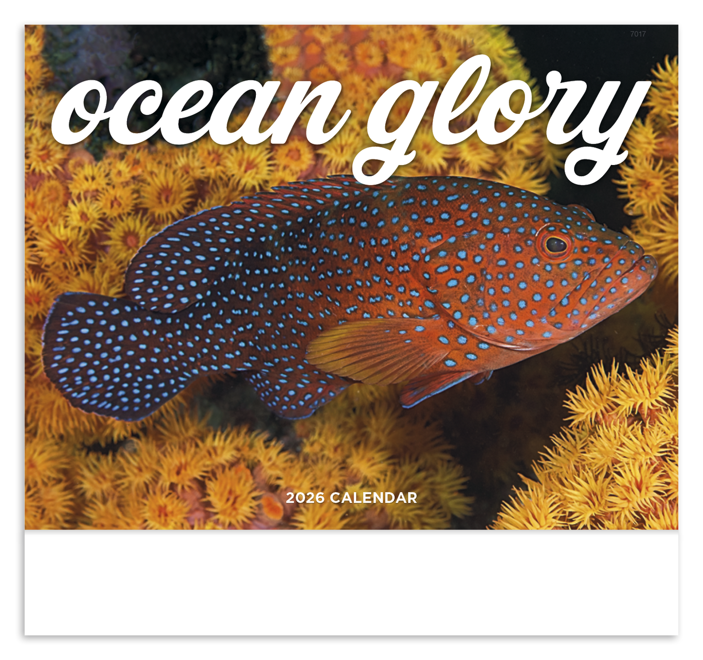 Good Value Ocean Glory Stapled Calendar-7217