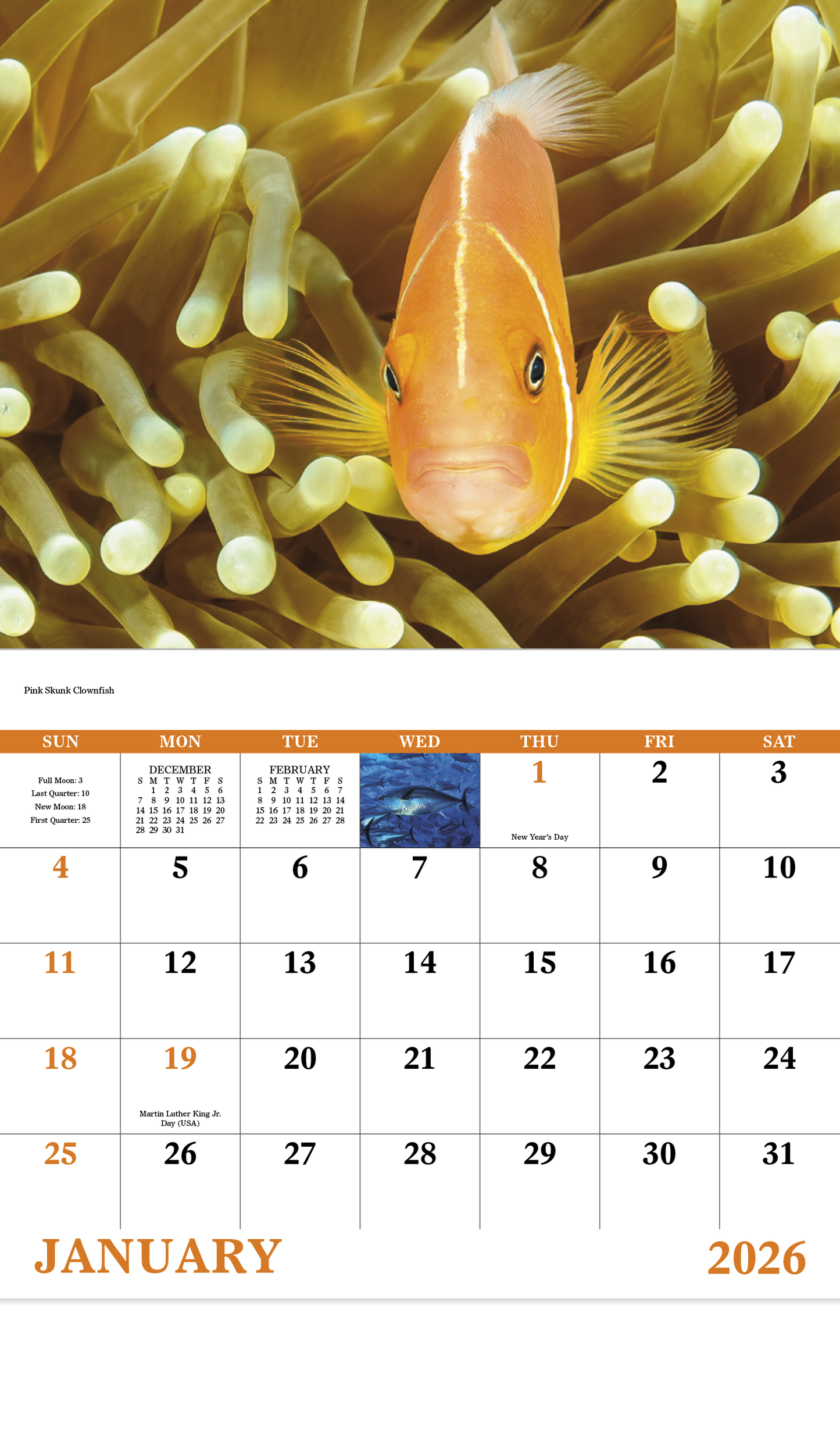 Good Value Ocean Glory Stapled Calendar-7217