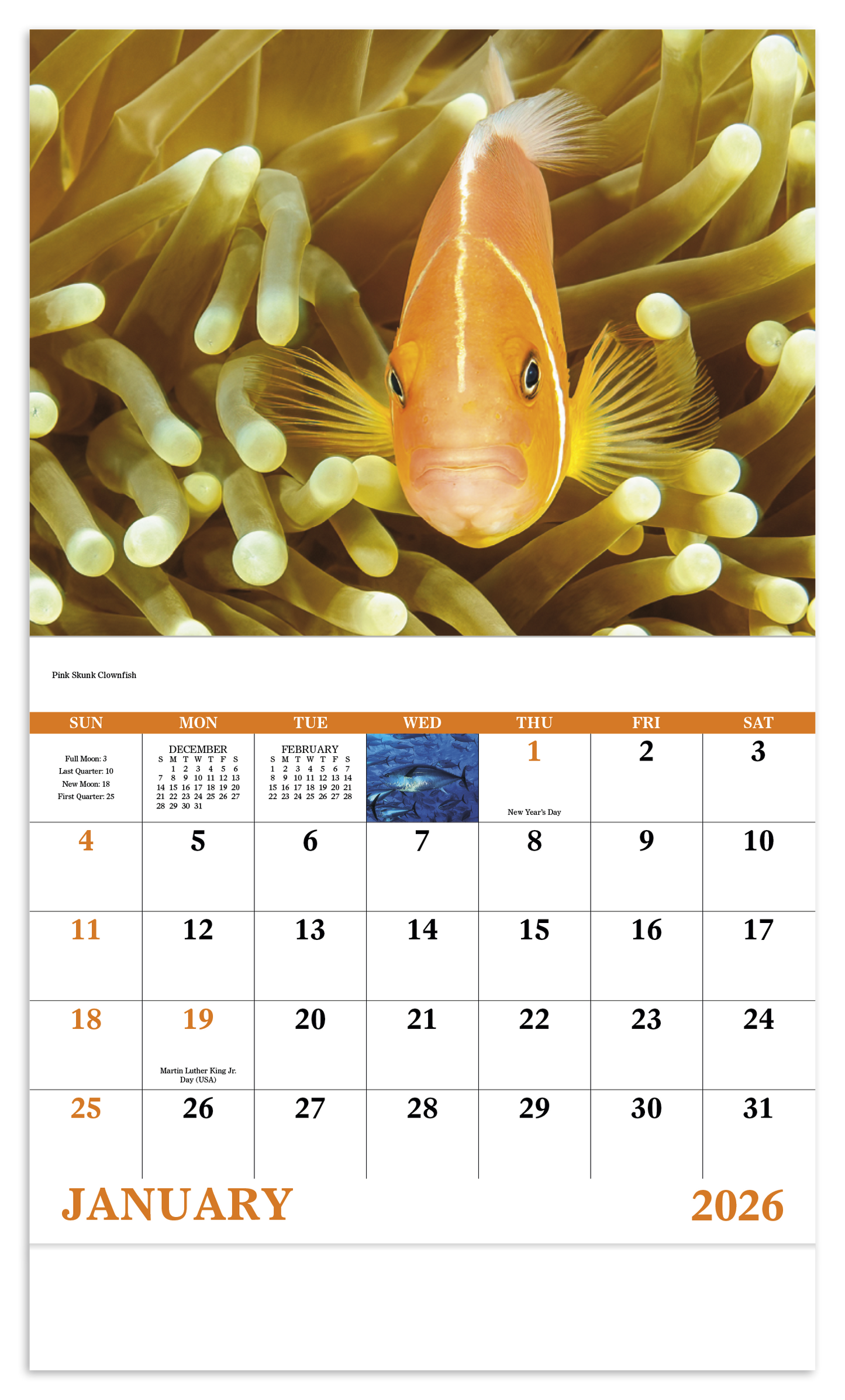 Good Value Ocean Glory Stapled Calendar-7217