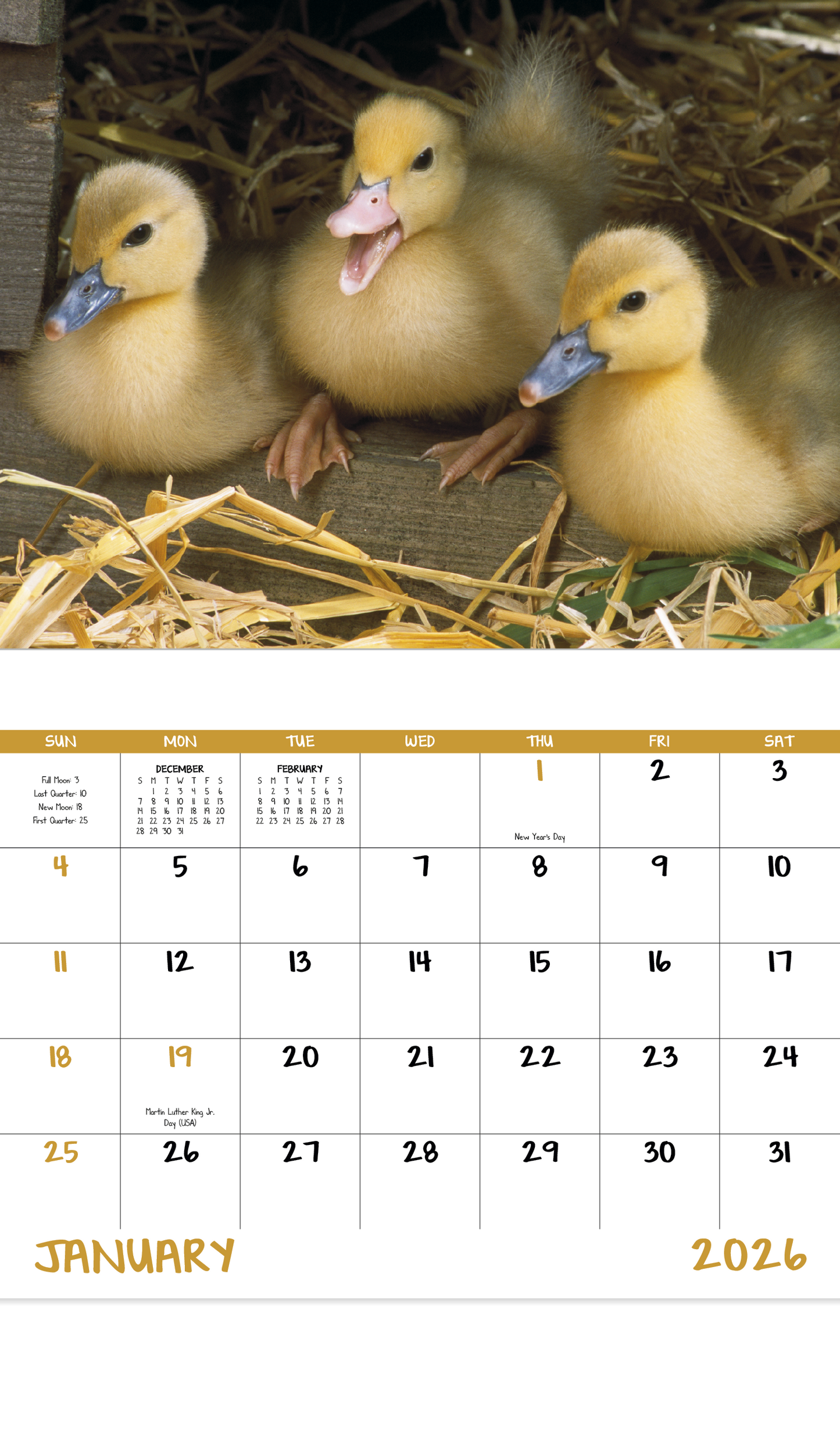 Good Value Baby Farm Animals Stapled Calendar-7220