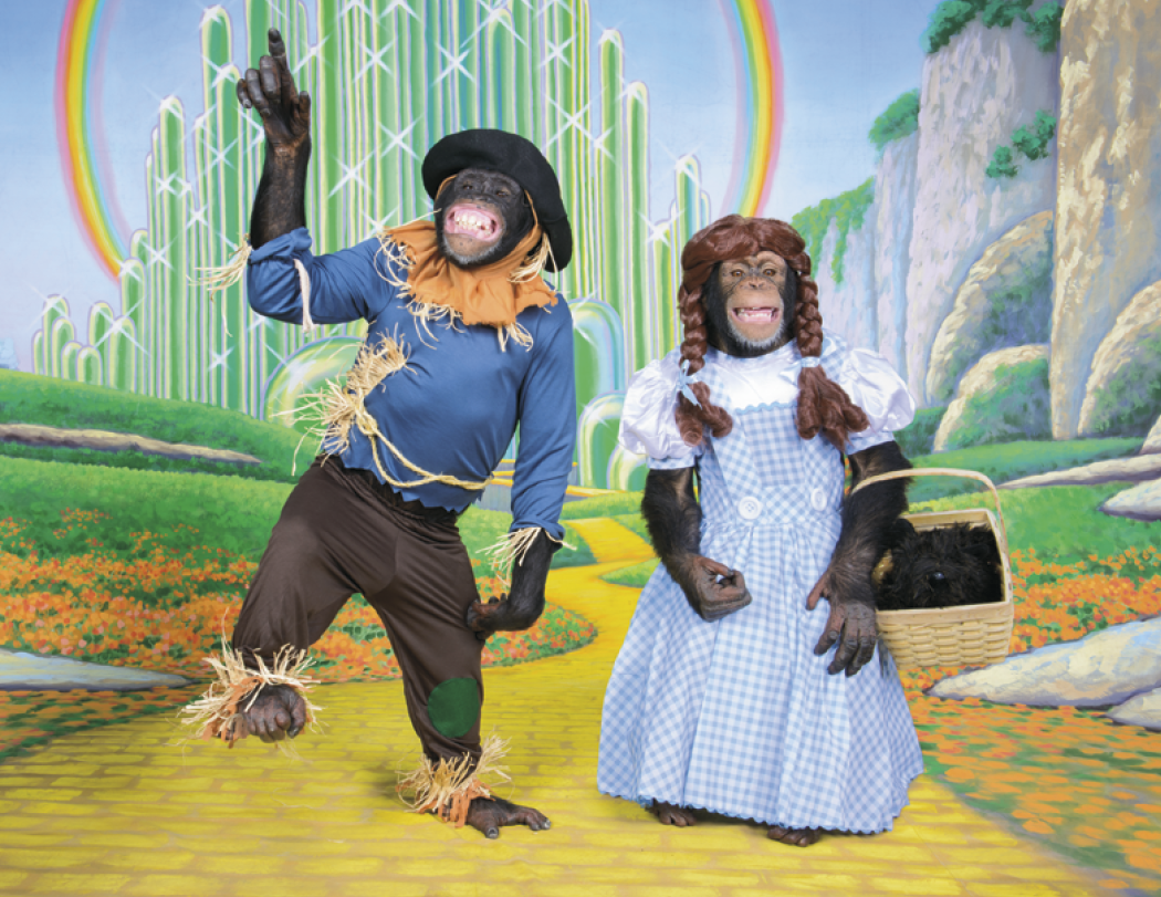 Good Value Monkey Mischief Stapled Calendar-7233