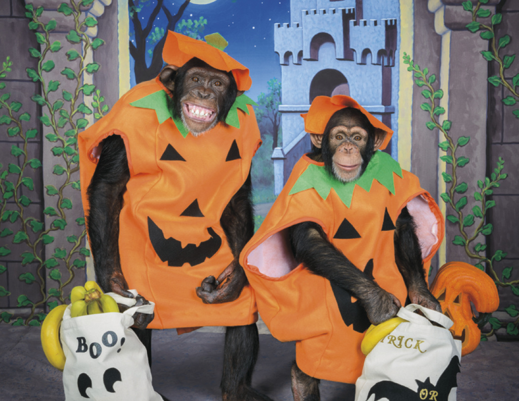 Good Value Monkey Mischief Stapled Calendar-7233