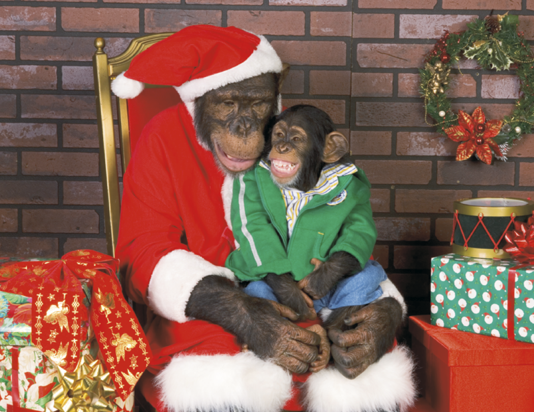 Good Value Monkey Mischief Stapled Calendar-7233