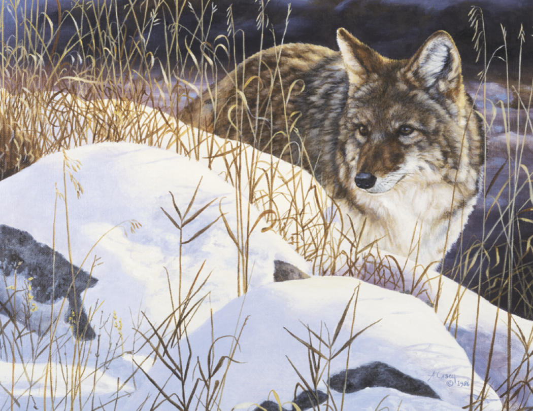 Good Value Wildlife Canvas Stapled Calendar-7238