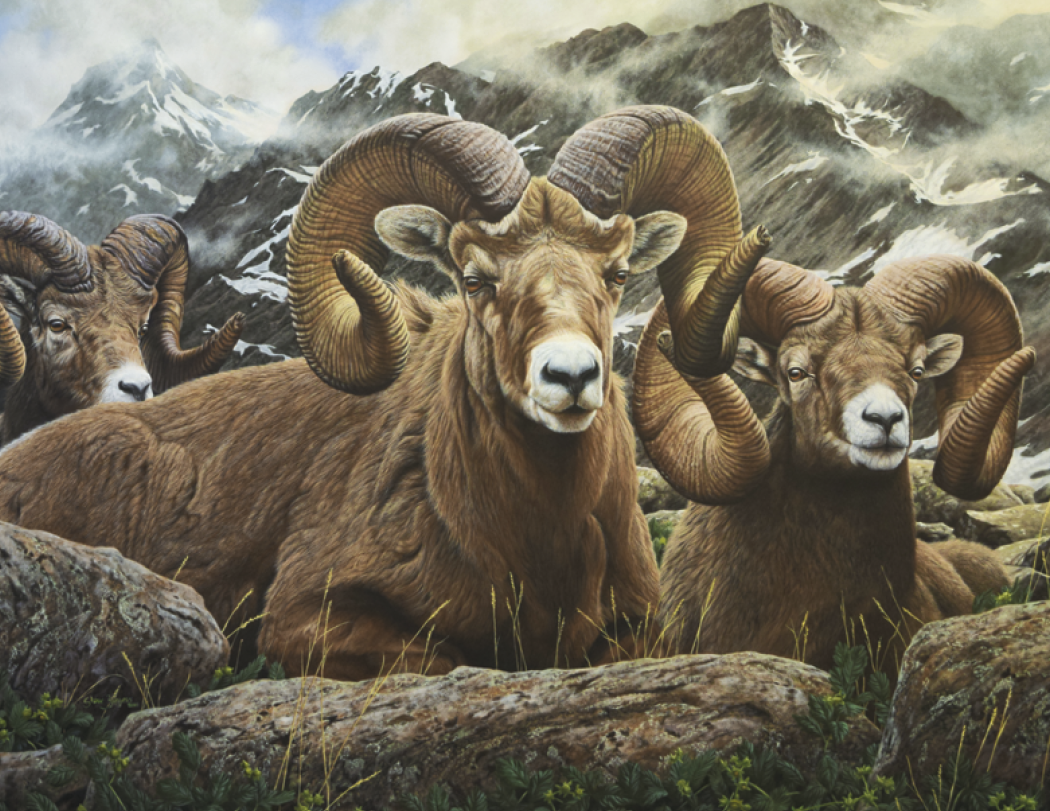 Good Value Wildlife Canvas Stapled Calendar-7238