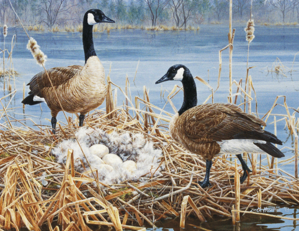 Good Value Wildlife Canvas Stapled Calendar-7238