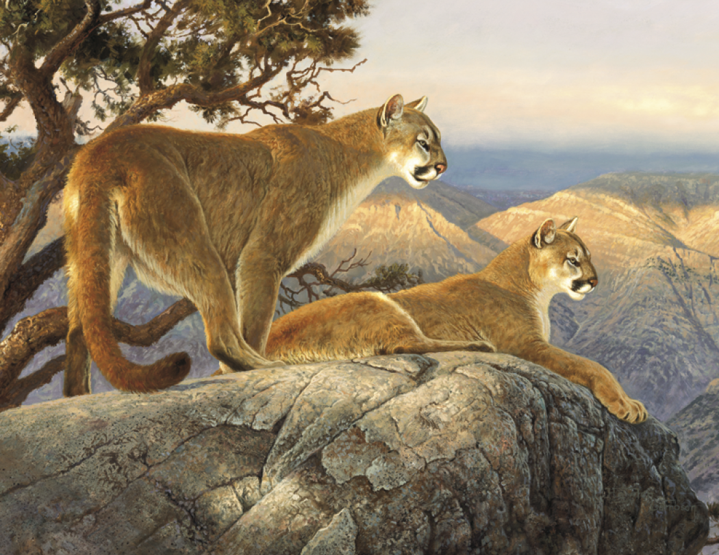 Good Value Wildlife Canvas Stapled Calendar-7238
