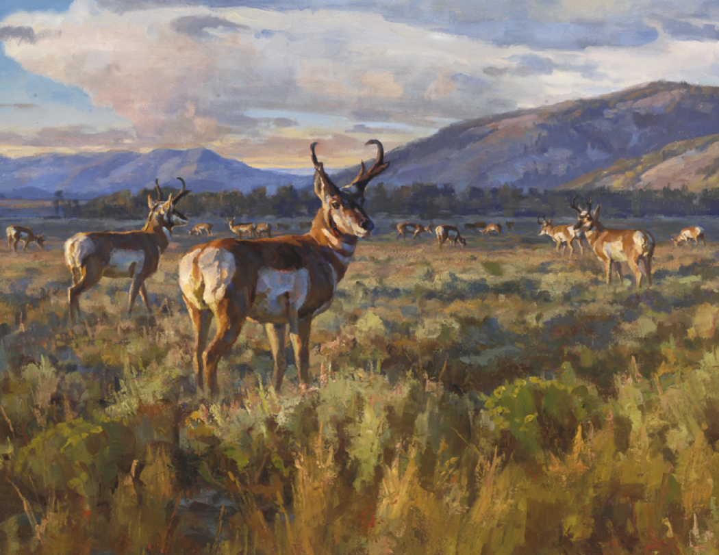Good Value Wildlife Canvas Stapled Calendar-7238