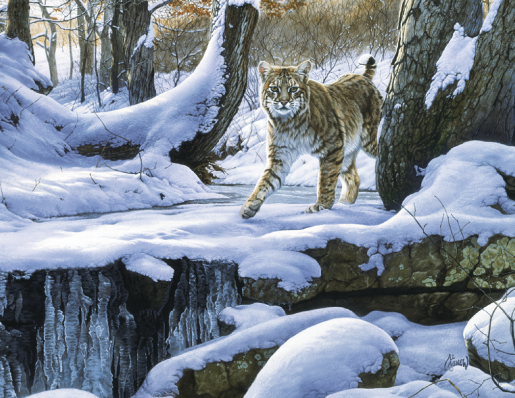 Good Value Wildlife Canvas Stapled Calendar-7238