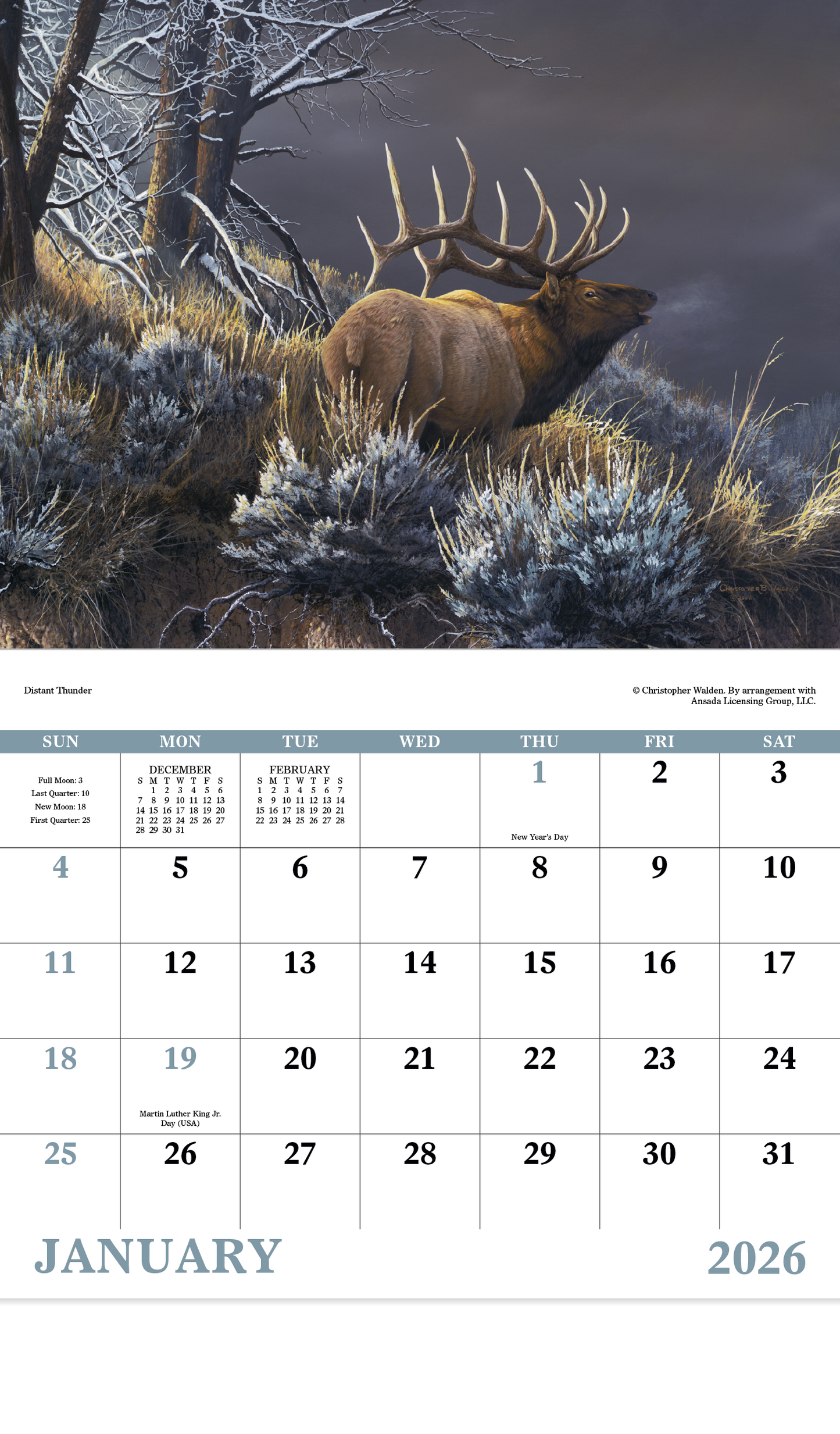 Good Value Wildlife Canvas Stapled Calendar-7238