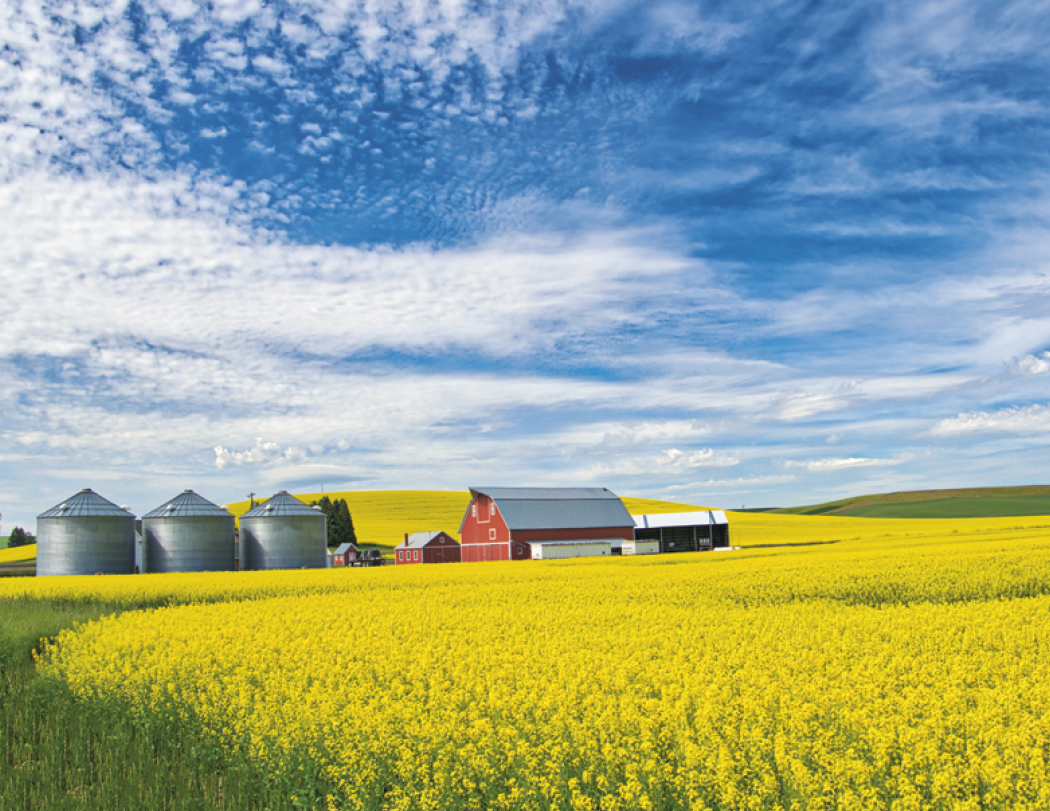 Good Value Agriculture Stapled Calendar-7247