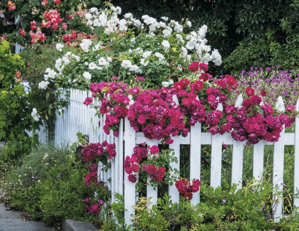 Good Value Garden Walk Stapled Calendar-7277