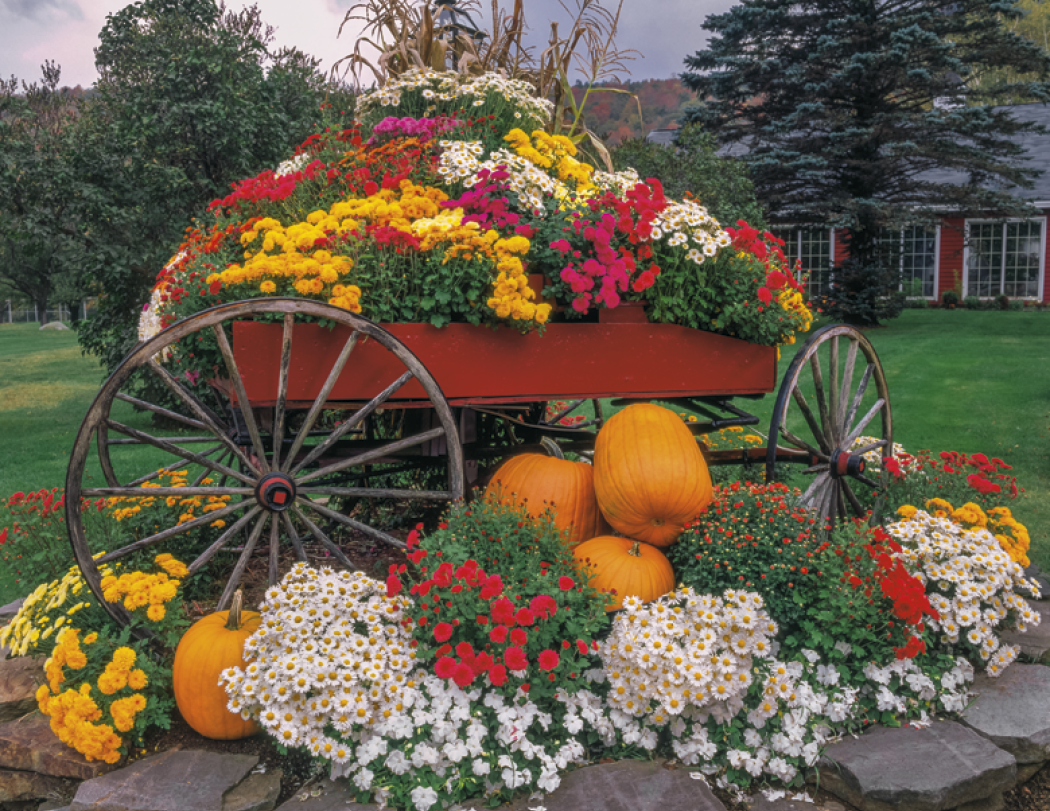 Good Value Garden Walk Stapled Calendar-7277