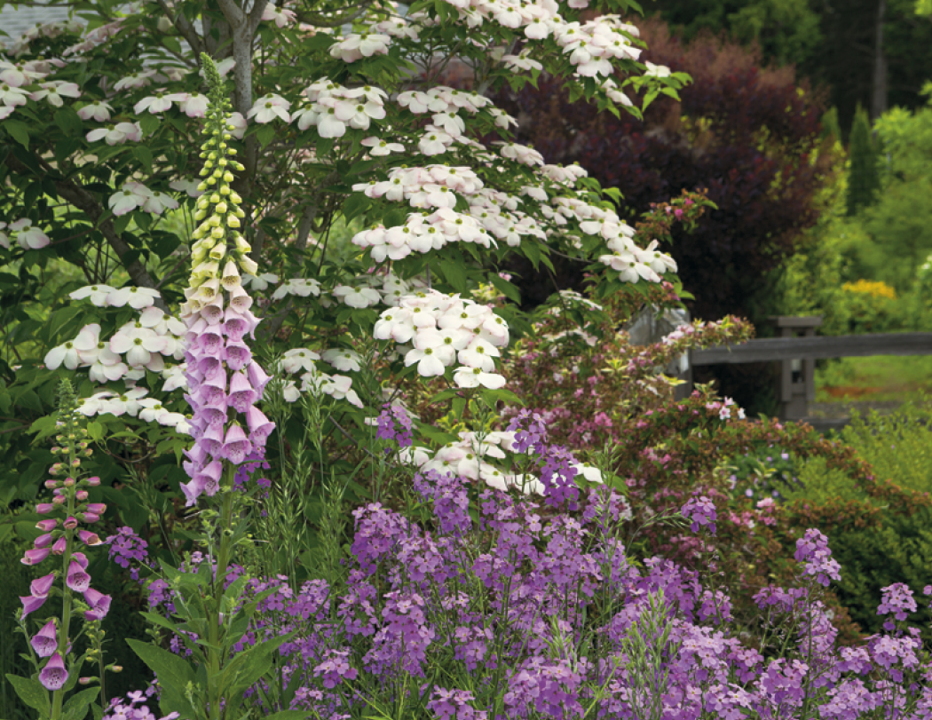 Good Value Garden Walk Stapled Calendar-7277