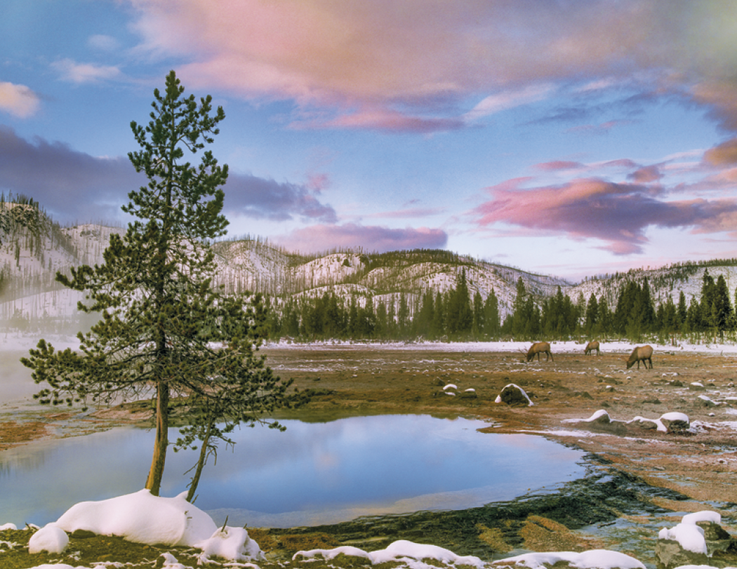 Good Value Rocky Mountains Stapled Calendar-7278