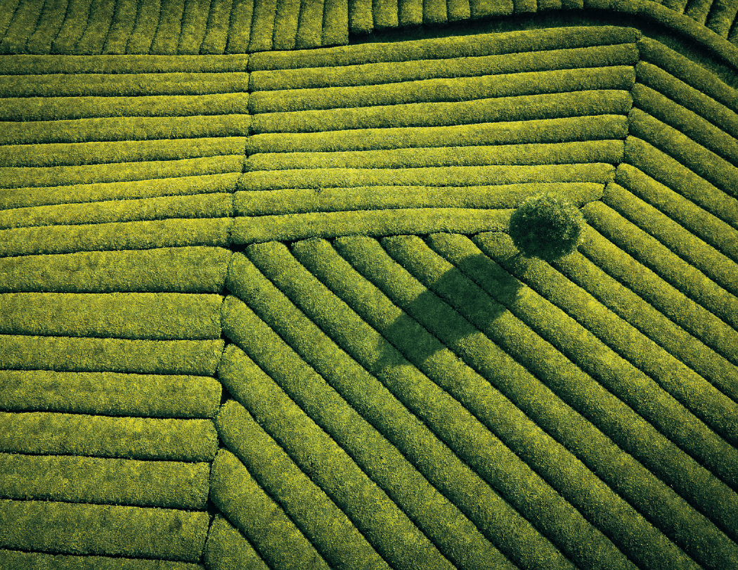 Good Value View from Above Stapled Calendar-7284