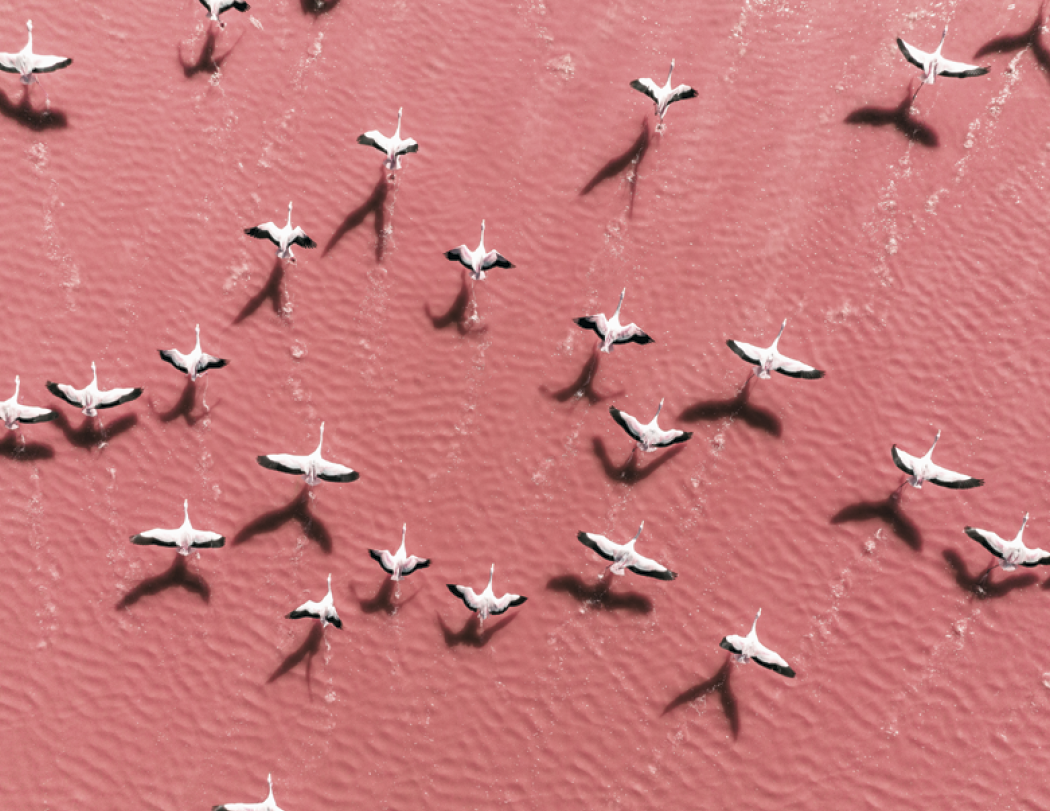 Good Value View from Above Stapled Calendar-7284