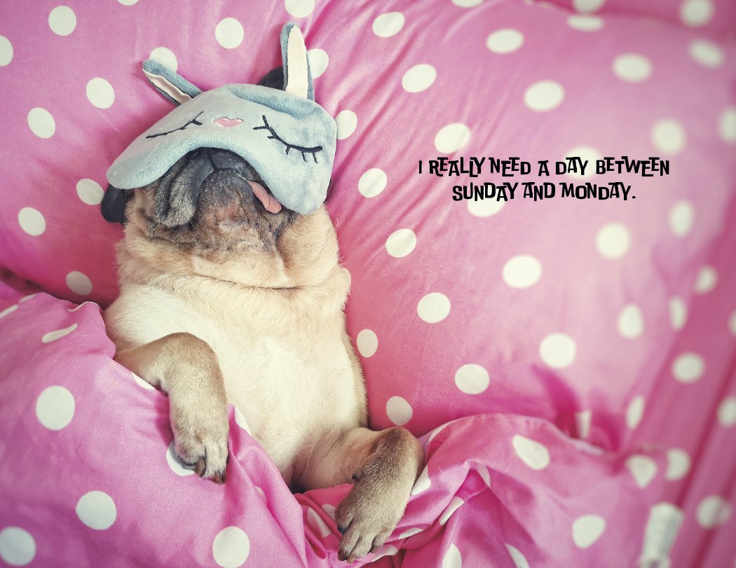 Good Value Pets with Attitude Stapled Calendar-7286