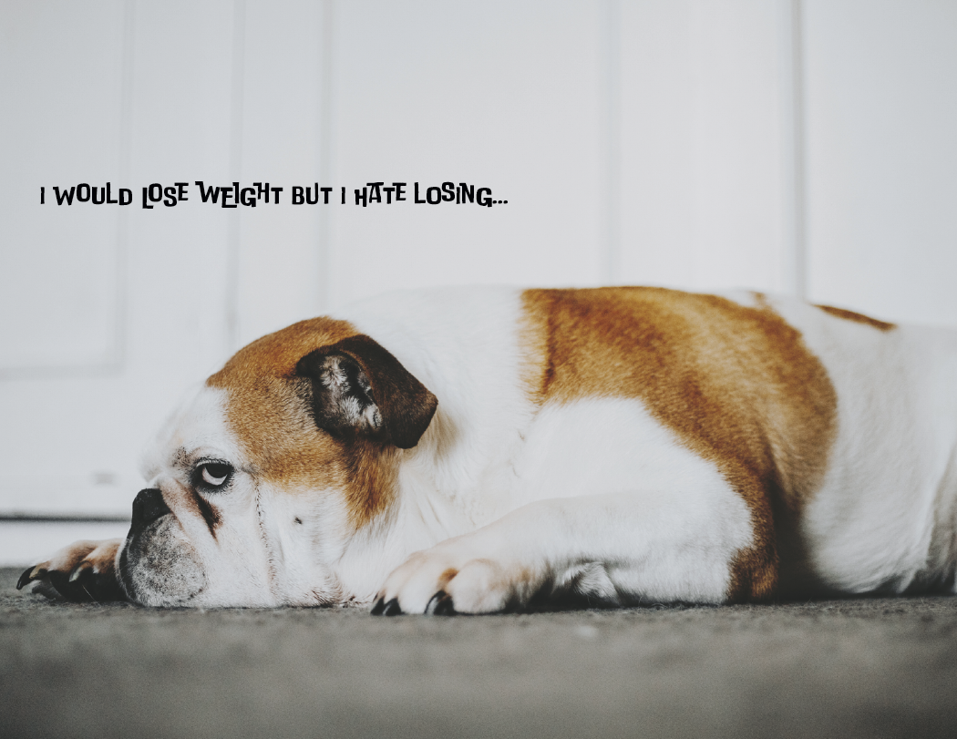 Good Value Pets with Attitude Stapled Calendar-7286